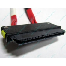 SATA-кабель для корзины HDD HP 451782-001 459190-001 для HP ML310 G5 (Электрогорск)