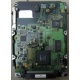 Жесткий диск 18.4Gb Quantum Atlas 10K III U160 SCSI (Электрогорск)