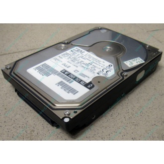 Жесткий диск 18.2Gb IBM Ultrastar DDYS-T18350 Ultra3 SCSI (Электрогорск)