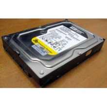 Жесткий диск 160Gb WD WD1602ABKS SATA (Электрогорск)