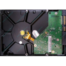 Б/У жёсткий диск 1Tb Western Digital WD10EVVS Green (WD AV-GP 1000 GB) 5400 rpm SATA (Электрогорск)