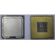 Процессор Intel Celeron D 336 (2.8GHz /256kb /533MHz) SL98W s.775 (Электрогорск)