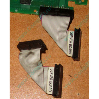 6017B0045701 Шлейф 24 pin для Intel C74974-401 T0043401-B01 корпуса SR2400 (Электрогорск)