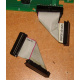 6017B0045701 Шлейф 24pin для Intel C74974-401 T0043401-B01 корпуса SR2400 (Электрогорск)