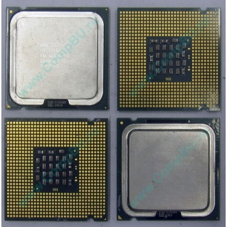 Процессоры Intel Pentium-4 506 (2.66GHz /1Mb /533MHz) SL8J8 s.775 (Электрогорск)