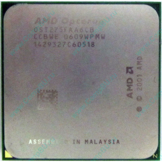 AMD Opteron 275 OST275FAA6CB (Электрогорск)